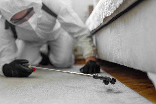 Professional Ant Control technician working in Presidential Lakes Estates, NJ
