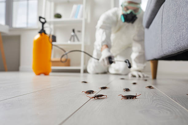 Trusted Cockroach Control service in Presidential Lakes Estates, NJ - Nex Pest Control